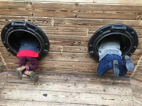 twin sibling rivalry|what causes sibling rivalry.